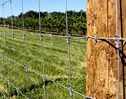 Fixed knots fence is installed around the rice field.