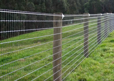 No climb horse fence installed with wood post at side of forest