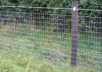 Fence installed with wood post at garden