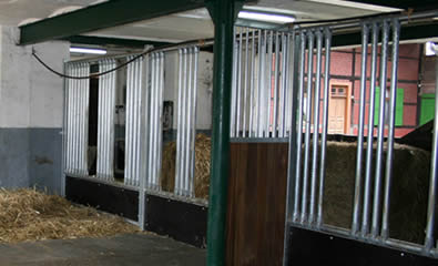 Safe horse fence four central rails together