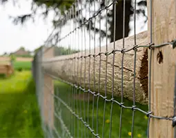 Square knots fence is installed outside the garden.