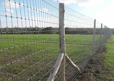 Galvanized fence installed with wood post
